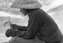 Giải mã "độ hot" của Lê Tuấn Khang Giải mã "độ hot" của Lê Tuấn Khang